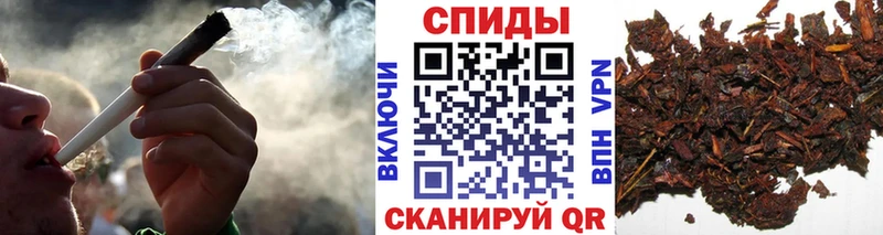 хочу   blacksprut онион  БУТИРАТ бутандиол  Салехард 