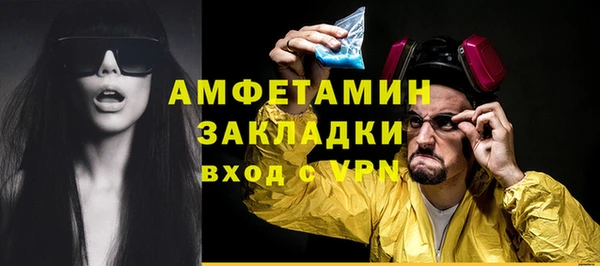 тгк Дмитриев