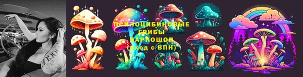 тгк Дмитриев