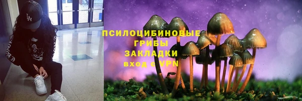 меф Дмитров