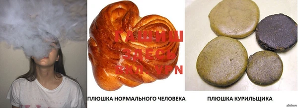 тгк Дмитриев