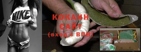 Альфа ПВП Ельня