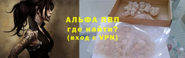 тгк Дмитриев