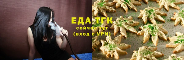 тгк Дмитриев