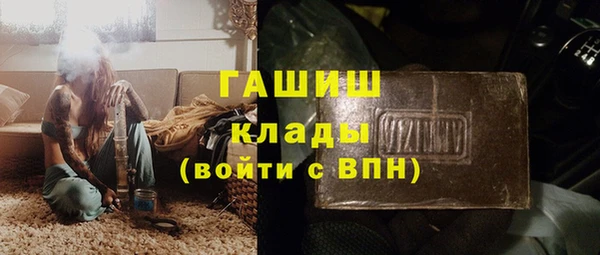 тгк Дмитриев