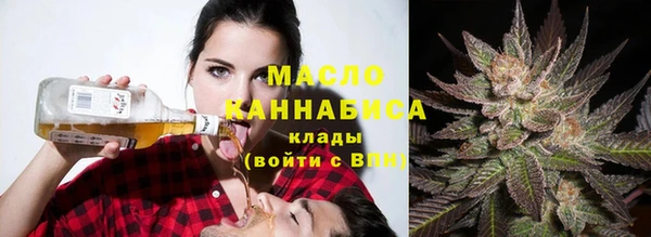 тгк Дмитриев