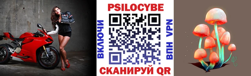 магазин  наркотиков  Салехард  Галлюциногенные грибы прущие грибы 