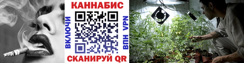 Канабис конопля  продажа наркотиков  Салехард 